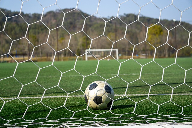 他們抓住對 他們抓住對