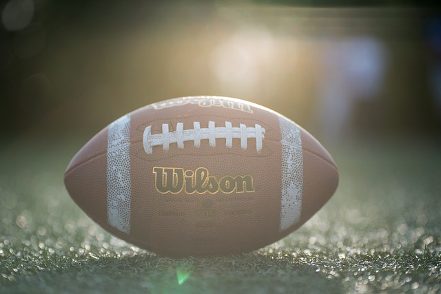 萨德的防线 萨德的防线