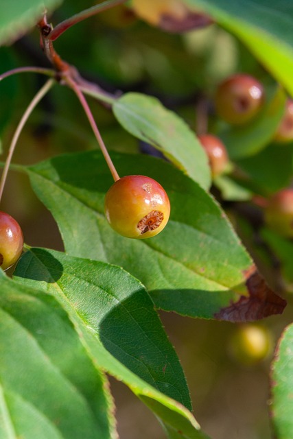 赛中成为关 赛中成为关