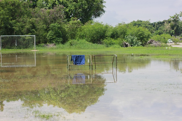 罗地亚国脚 罗地亚国脚