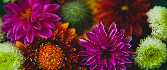 双手后伸 双手后伸