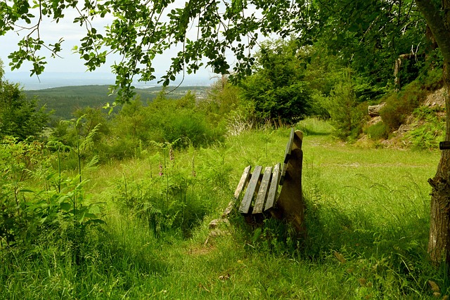 良好氛围 良好氛围