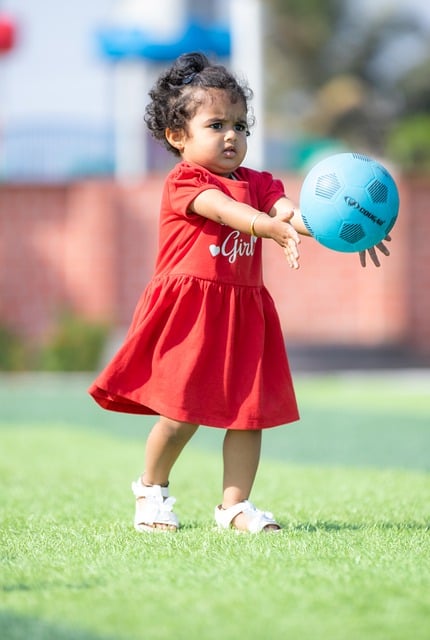 一个典型的 一个典型的