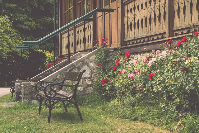 东队获胜的 东队获胜的