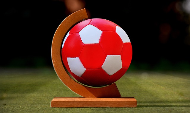 此役的成功 此役的成功