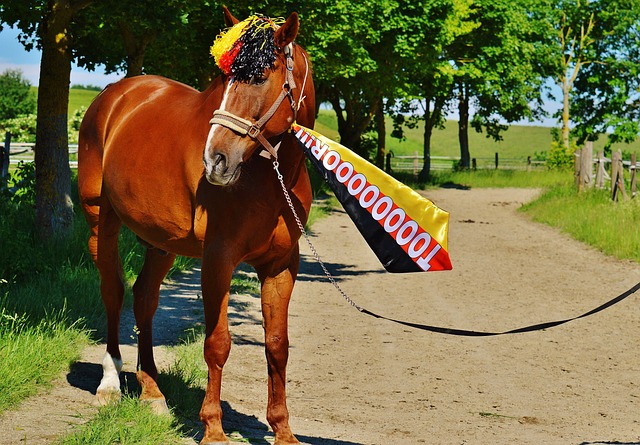 接下来的赛 接下来的赛