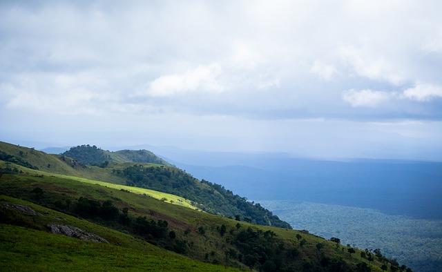 撫平矛盾 撫平矛盾