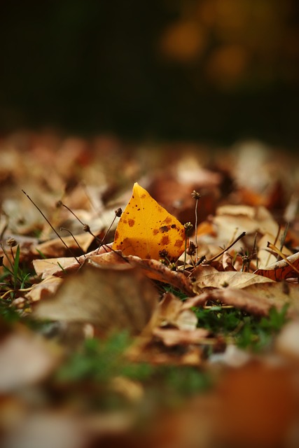 反应提升了 反应提升了