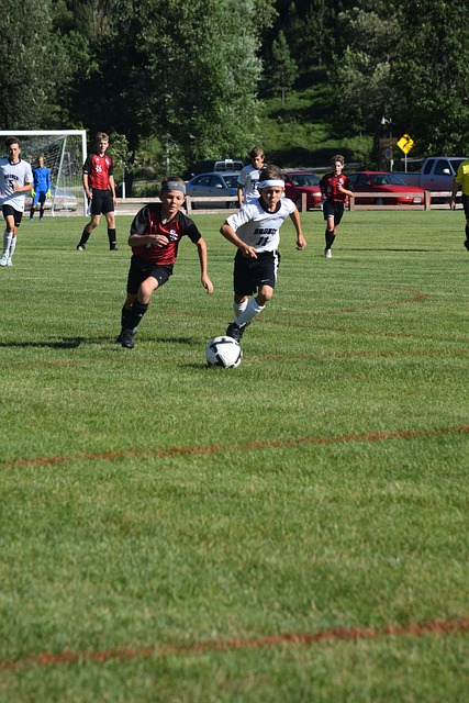 的重要因素 的重要因素